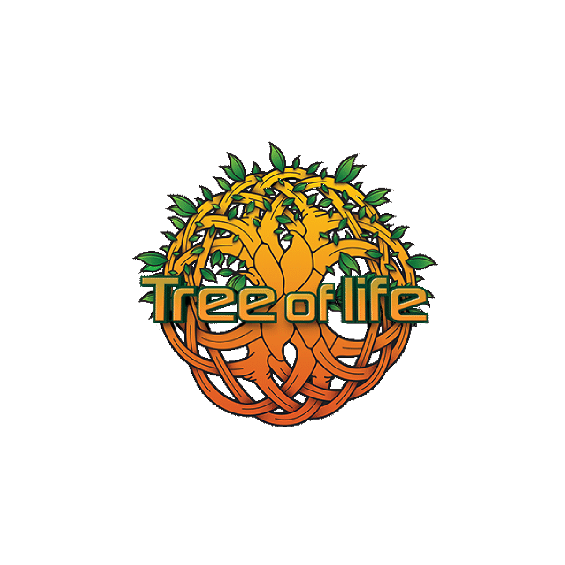 Tree of Life Festivali uluslararası etkinlik prodüksiyonu ve görsel tasarım yönetimi.